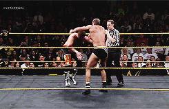 ZaynCesaroImpossible